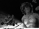 BUGGY.bmp