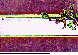 SWORD1.bmp