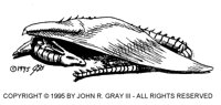 JRG-010B.BMP