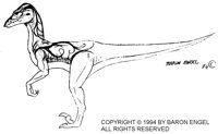 BEL-129B.BMP