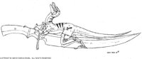 BEL-017B.BMP