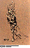 AMC-163C.BMP