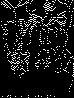 CHN-002B.BMP