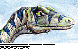 TLM-006C.BMP