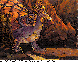MOL-013C.BMP