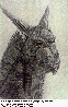 JRG-021C.BMP
