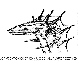 JLS-035B.BMP