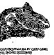 GDV-003B.BMP