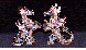 RGN-021C.BMP