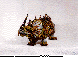 RGN-001C.BMP