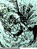 JAE-011C.BMP