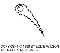 EDW-041B.BMP