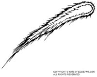 EDW-044B.BMP