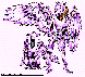 JDN-002C.BMP