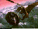 AMC-006C.BMP