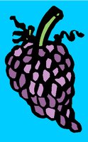 FDDNK305.WMF