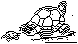 EDW-122B.BMP