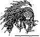 EDW-110B.BMP