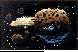MCG-411C.BMP