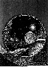 GBR-542G.BMP