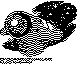 GBR-539B.BMP