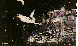 DLA-005C.BMP
