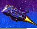 CTD-017C.BMP