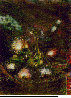 WRW-007C.BMP