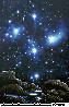 MCG-516C.BMP
