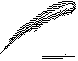 EDW-044B.BMP