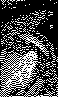 CYH-009B.BMP