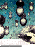CYH-007C.BMP