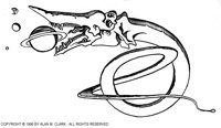 AMC-031G.BMP