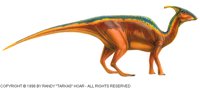 RHT-007C.BMP