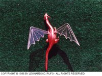 LDR-030C.BMP