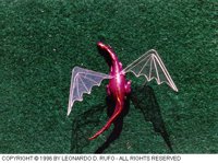 LDR-023C.BMP