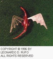 LDR-008C.BMP