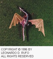 LDR-007C.BMP