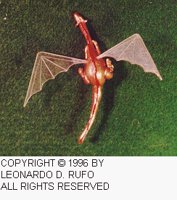 LDR-001C.BMP