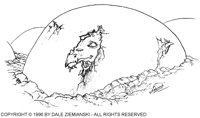 DZI-016B.BMP