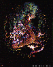 MJF-004C.BMP