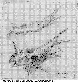 JDN-016G.BMP
