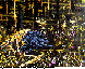 JDN-005C.BMP