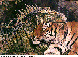 GJB-004C.BMP