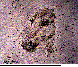 CBK-003C.BMP