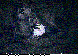 CBK-002C.BMP