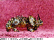 RGN-002C.BMP