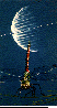 MCG-008C.BMP