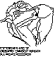 CSH-024B.BMP