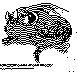 PMY-007B.BMP